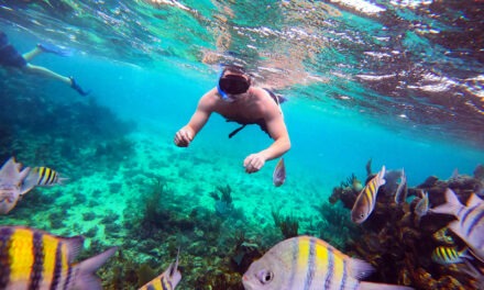 Living the Life of Leisure in Palmy, Balmy Playa del Carmen