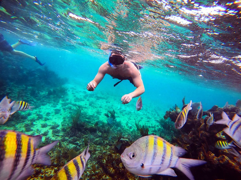 Living the Life of Leisure in Palmy, Balmy Playa del Carmen