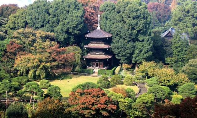 Tokyo Pagodas: A Spiritual Journey