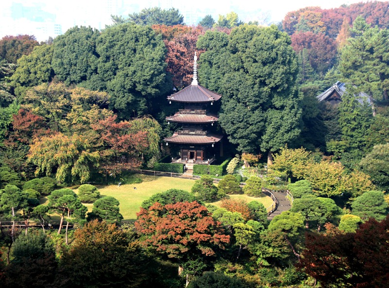 Tokyo Pagodas: A Spiritual Journey
