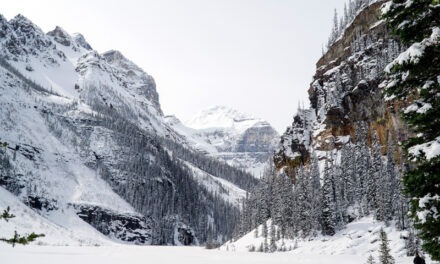 O Canada! G Adventures celebrates its roots and  opens new doors to travellers with its largest Canada expansion to date