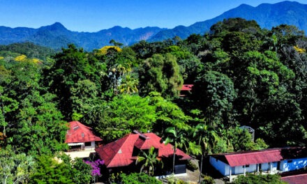 A Visit to the Coffee Estates of Chiapas