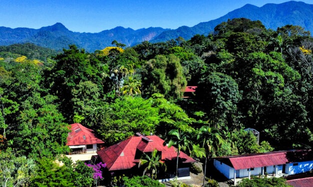 A Visit to the Coffee Estates of Chiapas