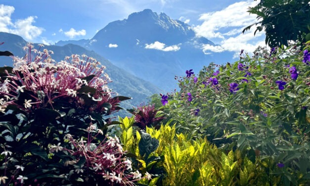 Unveiling the Wonders of Sabah, Borneo, Malaysia