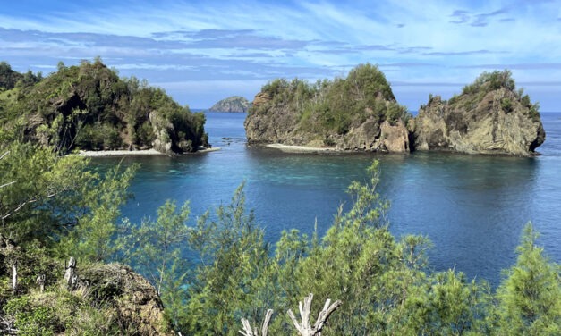 Ogasawara: Bonding with Nature and Community