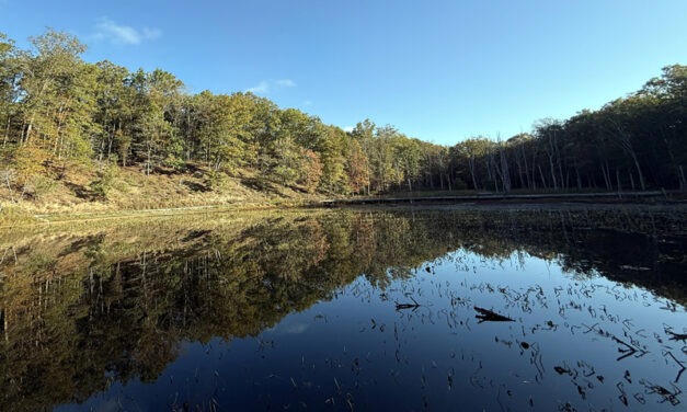 Finding the Heart of America in Montgomery County, Virginia