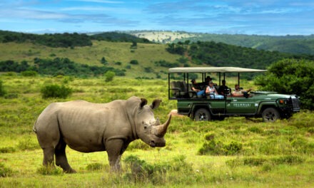 South Africa’s Eastern Cape – Heritage and Wilderness in One Journey