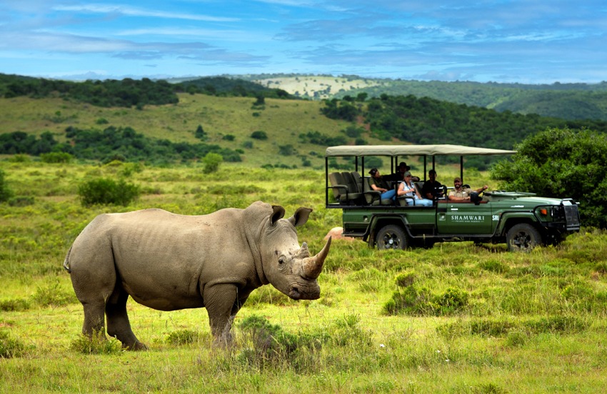South Africa’s Eastern Cape – Heritage and Wilderness in One Journey