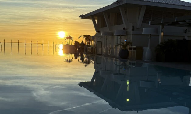 Sun, Sea & Style: Tampa, Punta Gorda & Miami