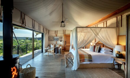 Where Conservation Comes – First A Stay at Shamwari Private Game Reserve