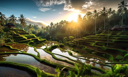 The Wonders of Indonesia