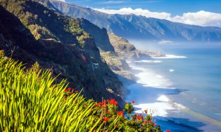 Postcards From Madeira