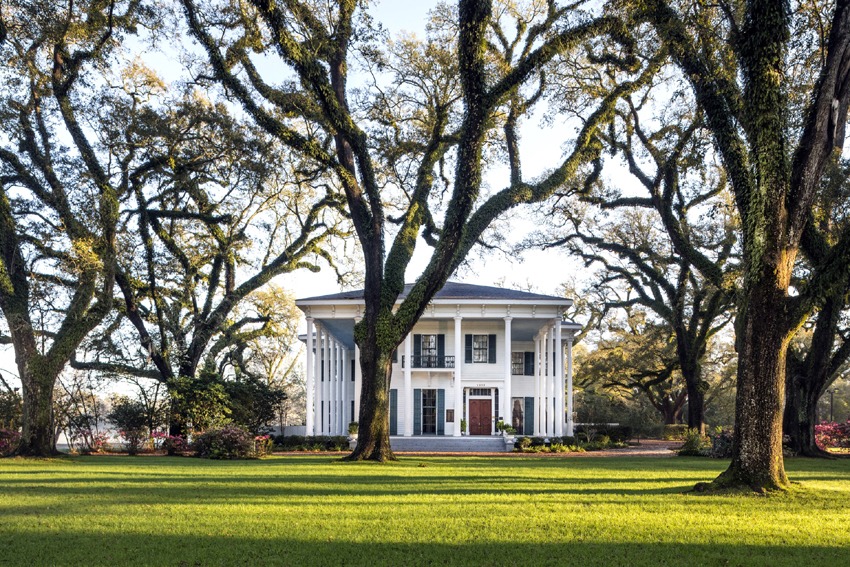 Let the Good Times Roll in Mobile, Alabama