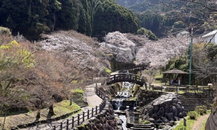 Kyushu: Japan’s Hidden Gem in Full Bloom
