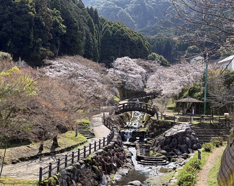 Kyushu: Japan’s Hidden Gem in Full Bloom