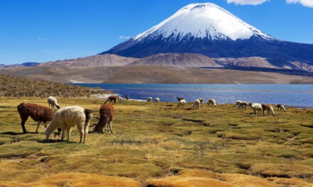 The Best of Chile