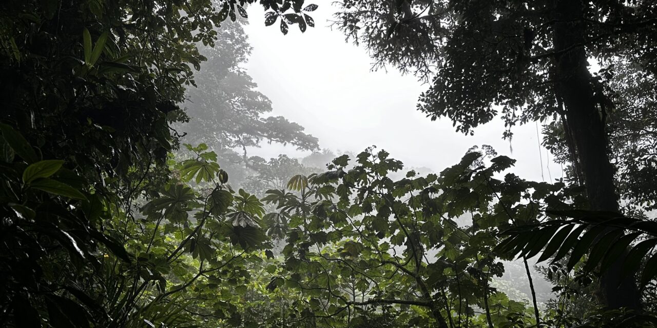 A Costa Rica Adventure with Exodus Adventure Travels