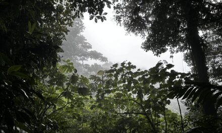 A Costa Rica Adventure with Exodus Adventure Travels