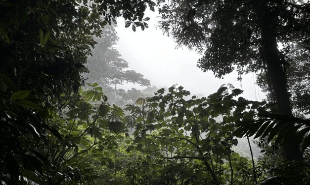 A Costa Rica Adventure with Exodus Adventure Travels