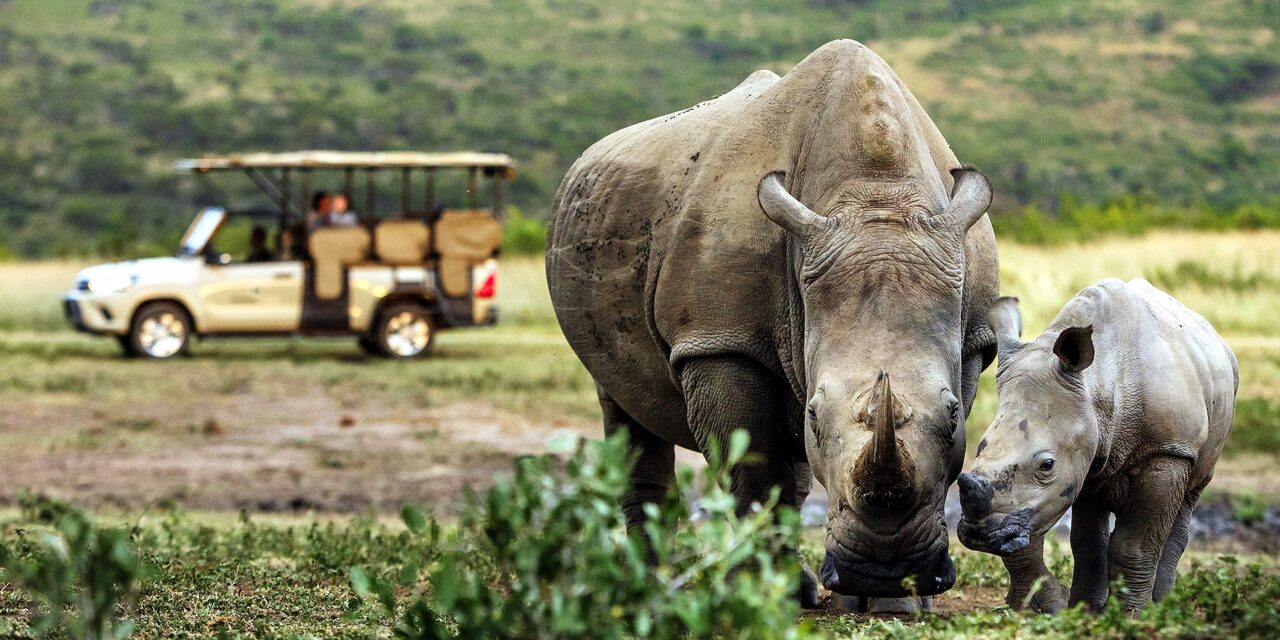 At Rhino Ridge Safari Lodge, Conservation Has a Human Story