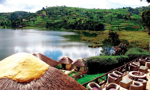 Uganda – The Perfect African Destination